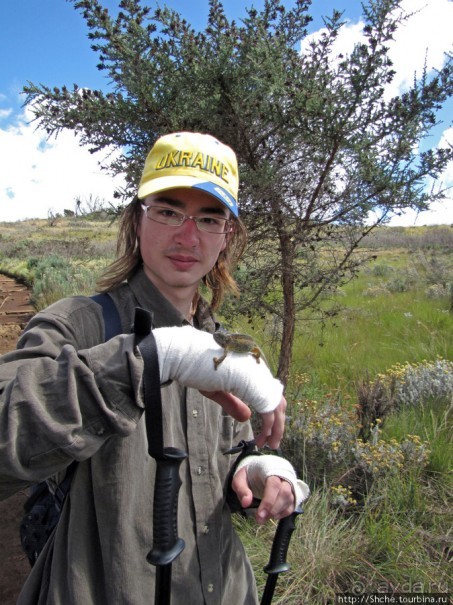 Спуск с Килиманджаро - обратная перемотка.