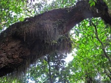 Спуск с Килиманджаро - обратная перемотка.