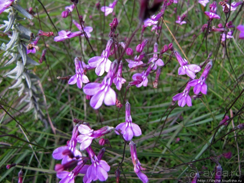Спуск с Килиманджаро - обратная перемотка.