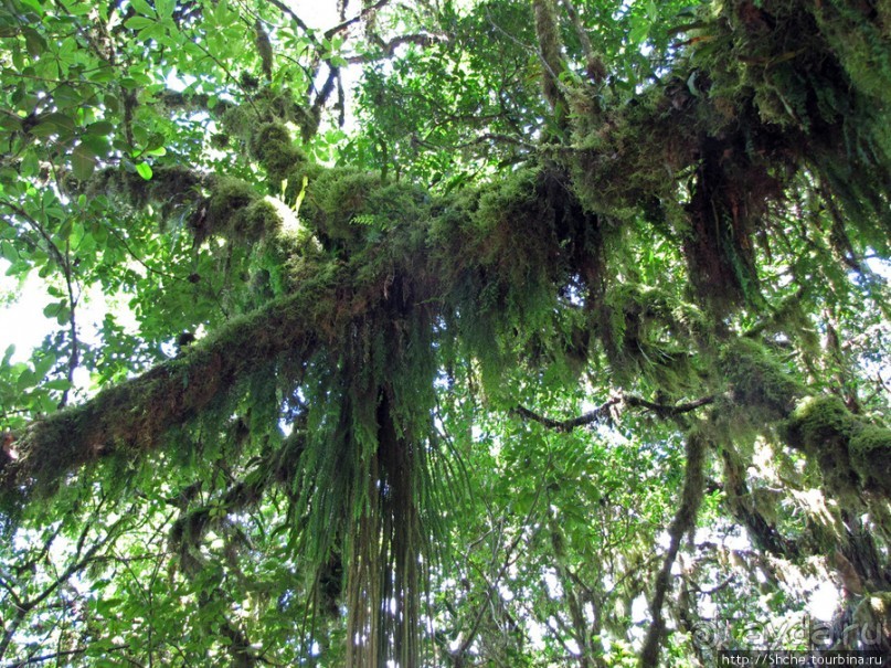 Спуск с Килиманджаро - обратная перемотка.