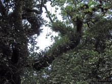 Спуск с Килиманджаро - обратная перемотка.