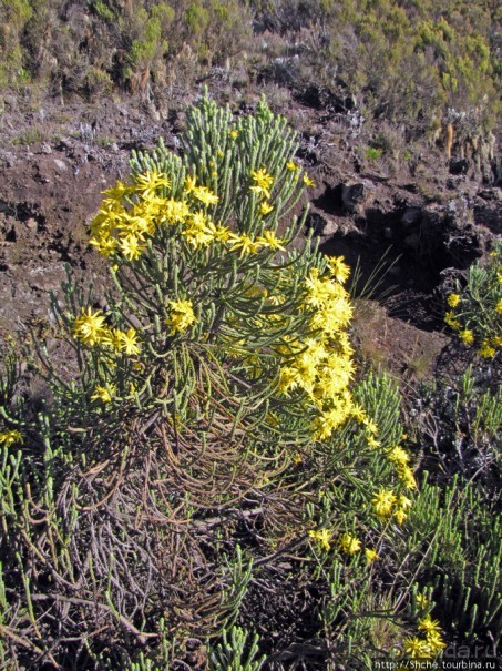 Спуск с Килиманджаро - обратная перемотка.