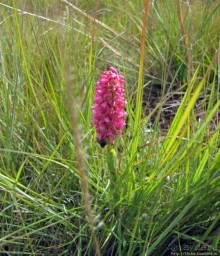 Спуск с Килиманджаро - обратная перемотка.