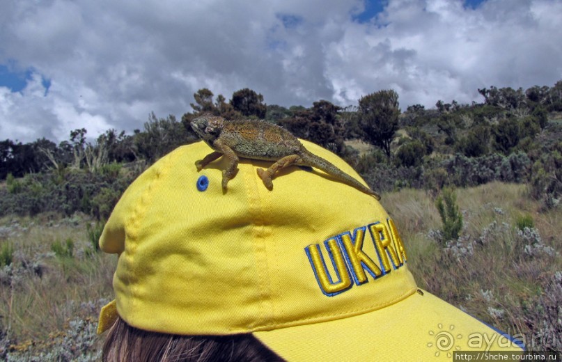 Спуск с Килиманджаро - обратная перемотка.
