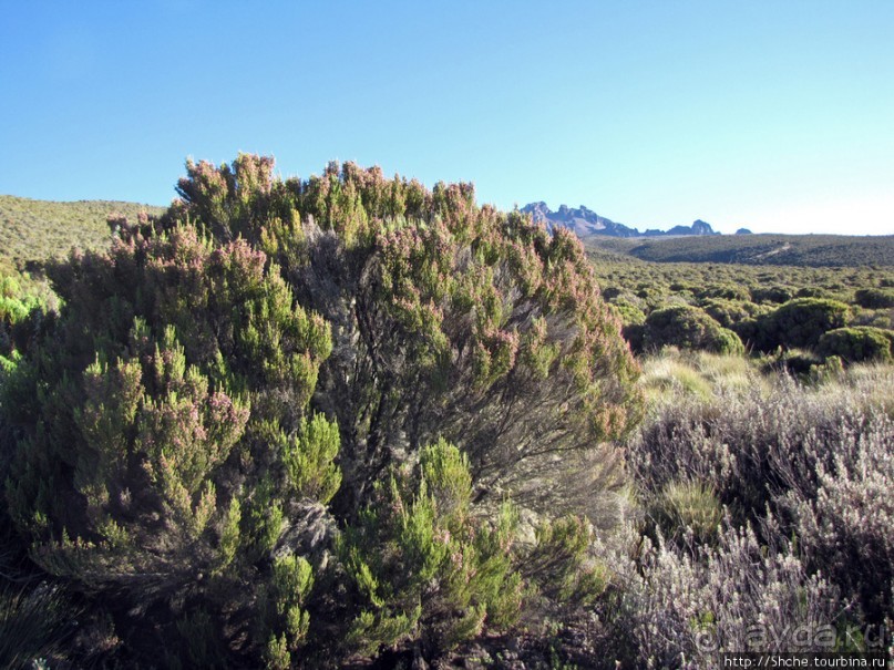 Спуск с Килиманджаро - обратная перемотка.