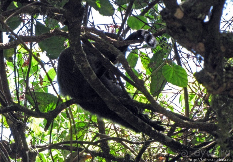 Спуск с Килиманджаро - обратная перемотка.