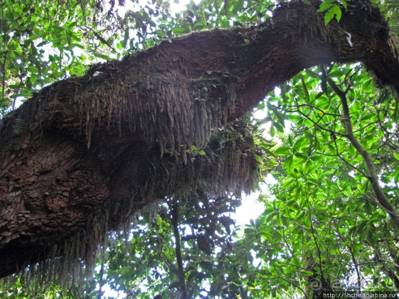 Спуск с Килиманджаро - обратная перемотка.