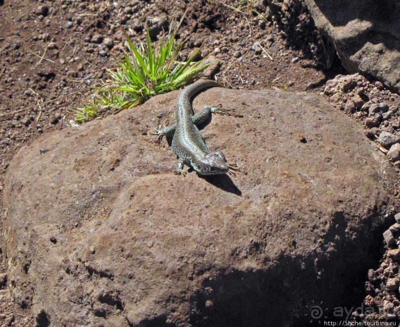 Спуск с Килиманджаро - обратная перемотка.