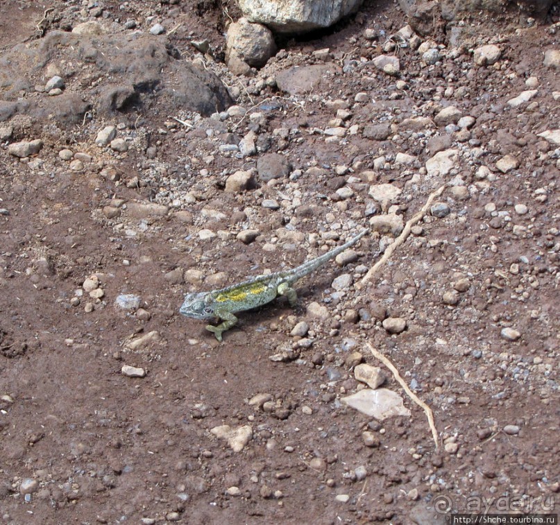 Спуск с Килиманджаро - обратная перемотка.