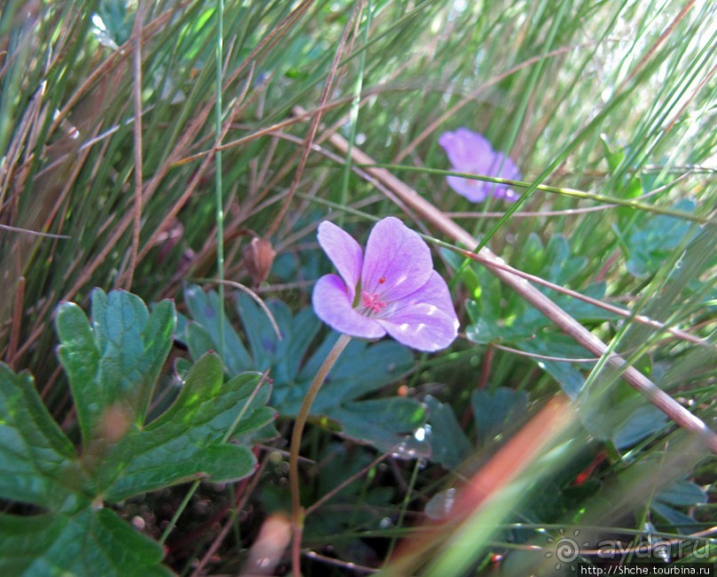 Спуск с Килиманджаро - обратная перемотка.