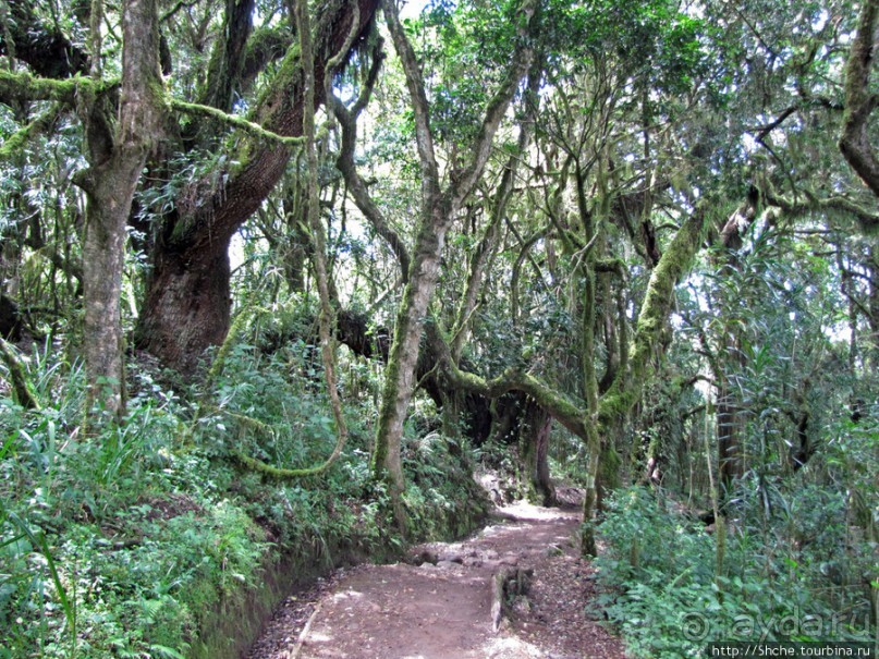 Спуск с Килиманджаро - обратная перемотка.