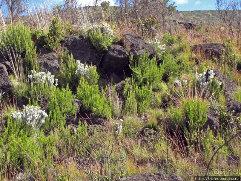 Спуск с Килиманджаро - обратная перемотка.