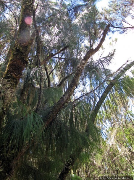 Спуск с Килиманджаро - обратная перемотка.