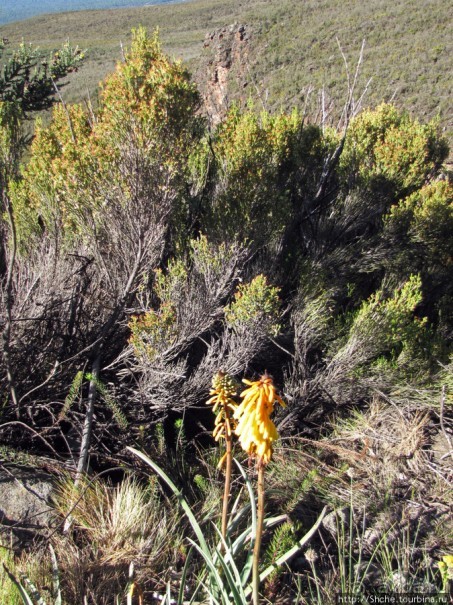 Спуск с Килиманджаро - обратная перемотка.