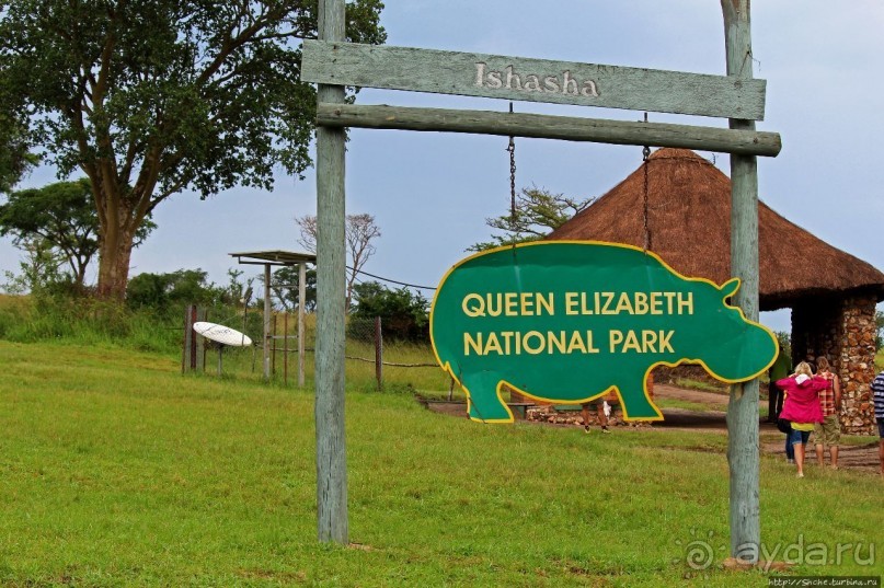 Ишаша — "практическая орнитология", или "львы ушли в Конго"