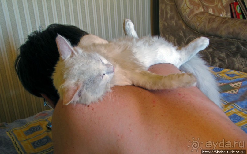 Знакомьтесь, кот Леший. Первый год