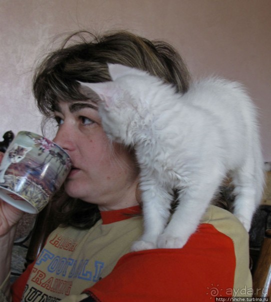 Знакомьтесь, кот Леший. Первый год