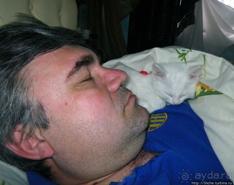 Знакомьтесь, кот Леший. Первый год