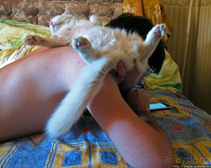 Знакомьтесь, кот Леший. Первый год