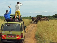 Четыре из пяти