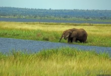 Четыре из пяти