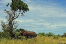 Четыре из пяти