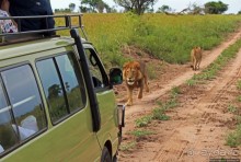 Четыре из пяти