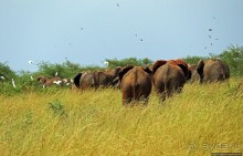 Четыре из пяти