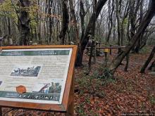 Прогулка после динозавров