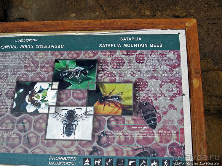 Прогулка после динозавров