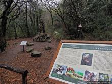 Прогулка после динозавров