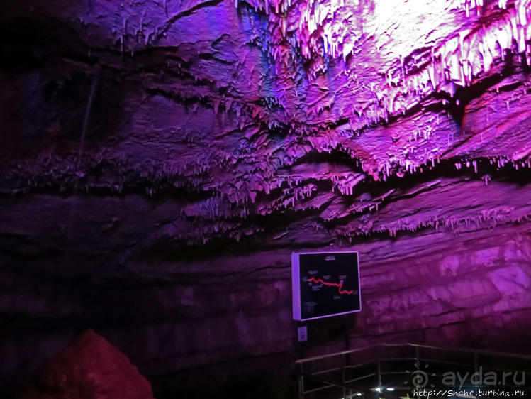 Прогулка после динозавров