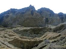 Прогулка после динозавров