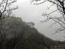 Прогулка после динозавров