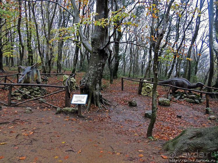 Прогулка после динозавров