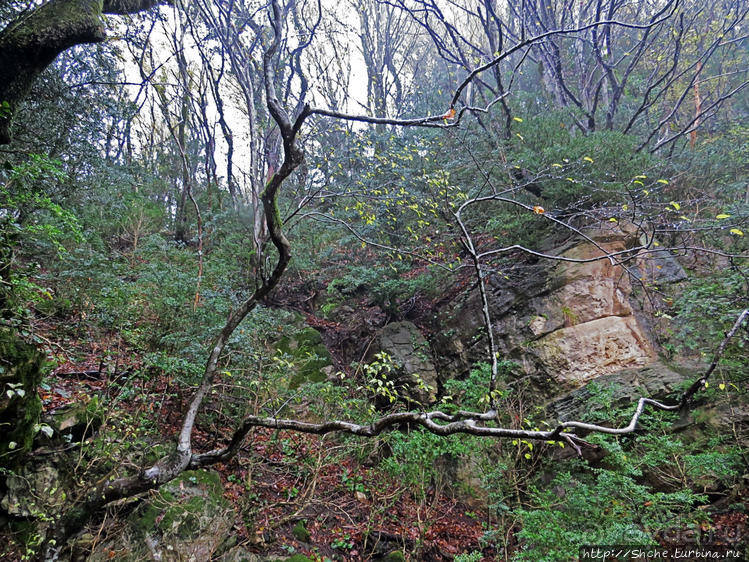 Прогулка после динозавров