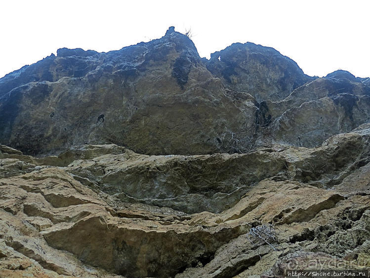 Прогулка после динозавров