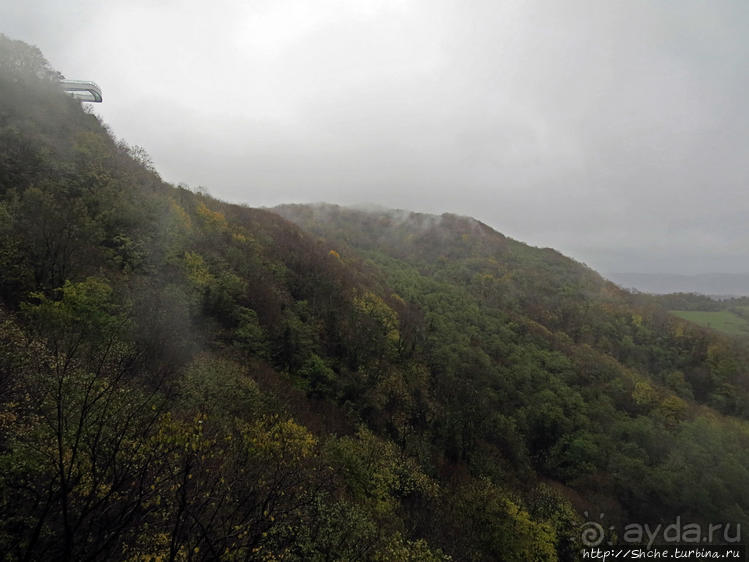 Прогулка после динозавров