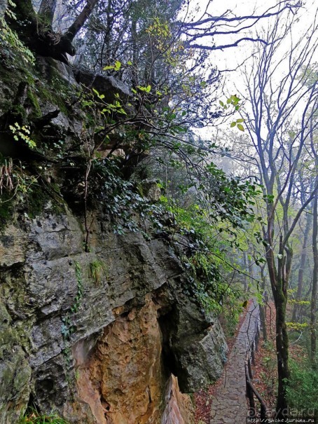 Прогулка после динозавров