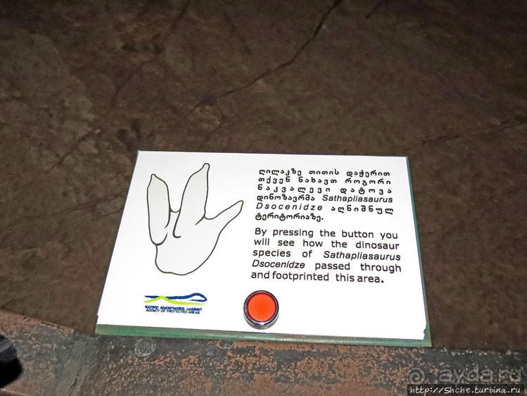 Прогулка после динозавров