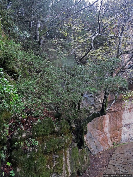 Прогулка после динозавров