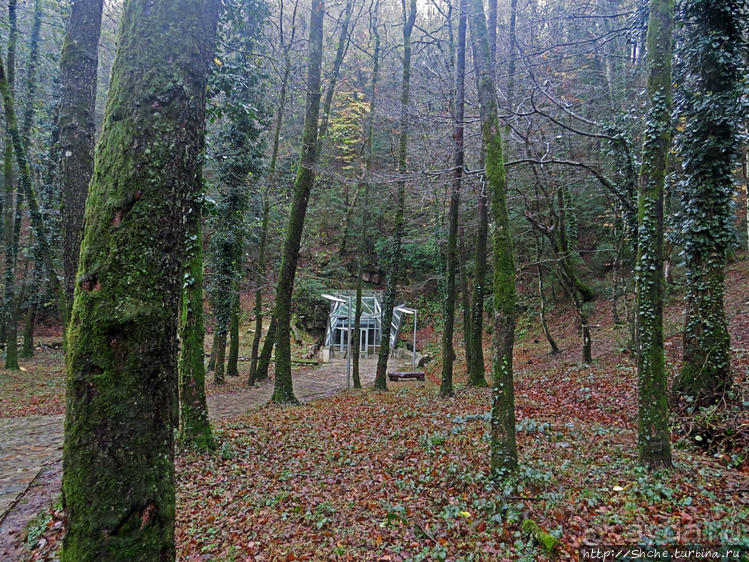 Прогулка после динозавров