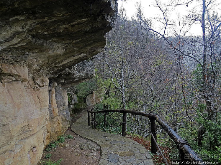 Прогулка после динозавров