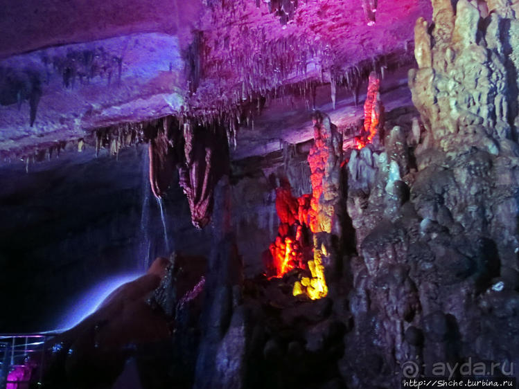 Прогулка после динозавров