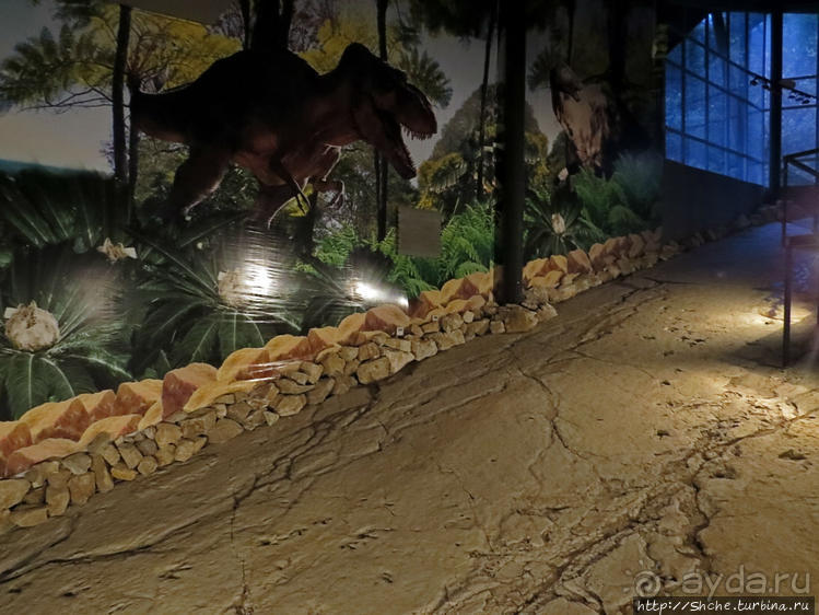 Прогулка после динозавров