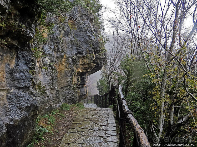 Прогулка после динозавров