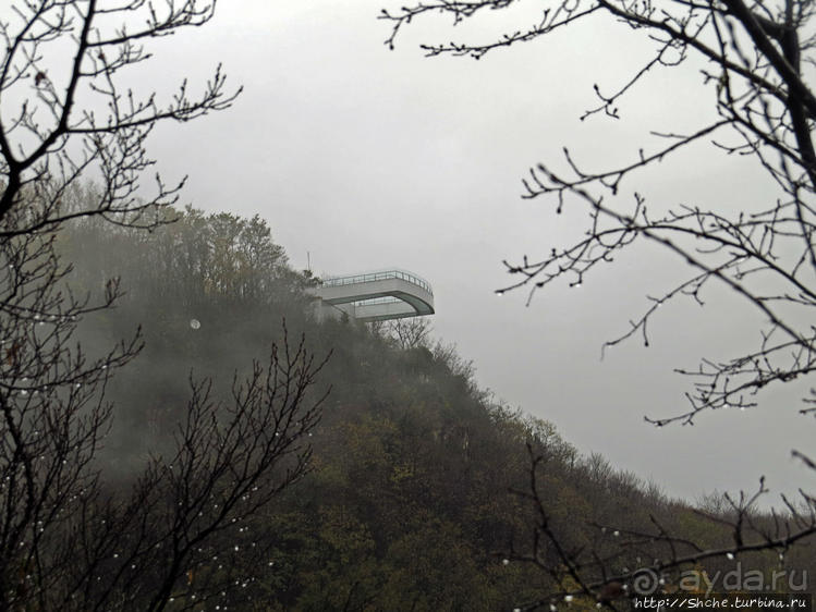 Прогулка после динозавров