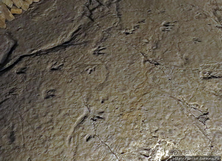 Прогулка после динозавров