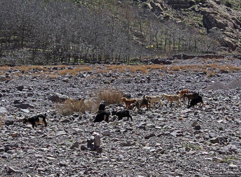 Арем — берберский городок в предгории Высокого Атласа