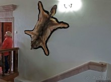 Музейные интерьеры Мирского замка